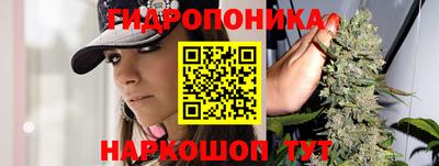 хмурый Наро-Фоминск